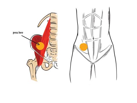 the hip hook|How to Use the Hip Hook to Release Your Iliacus。